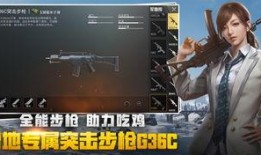 绝地求生外国爆料视频下载,下载背后的秘密与技巧